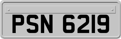 PSN6219