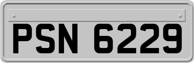 PSN6229