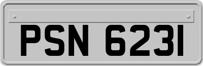 PSN6231