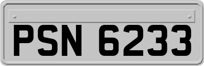 PSN6233