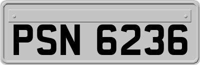 PSN6236