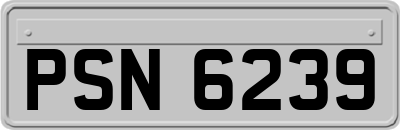 PSN6239