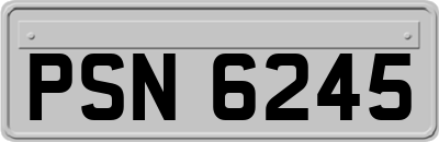 PSN6245
