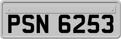 PSN6253