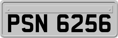 PSN6256