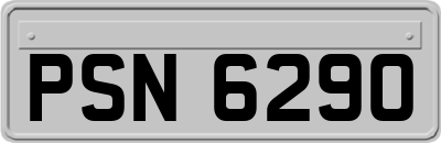 PSN6290