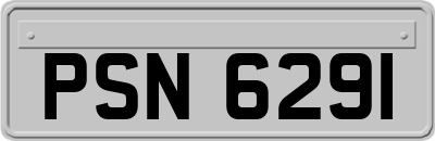 PSN6291
