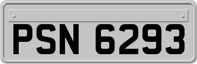 PSN6293
