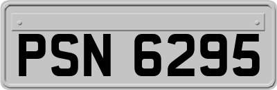 PSN6295