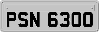 PSN6300