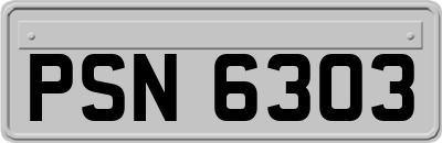 PSN6303