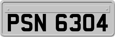 PSN6304