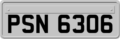 PSN6306