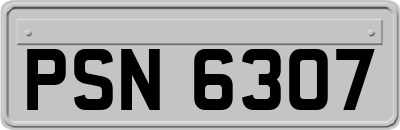 PSN6307