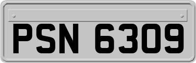 PSN6309