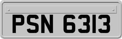 PSN6313