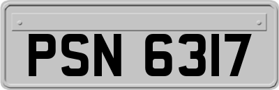 PSN6317
