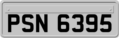 PSN6395