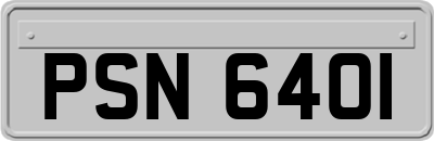 PSN6401