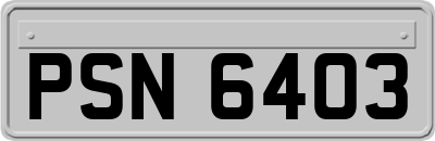 PSN6403