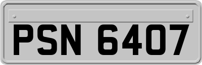 PSN6407