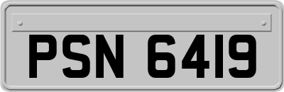 PSN6419