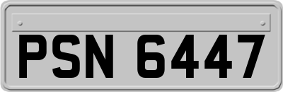 PSN6447