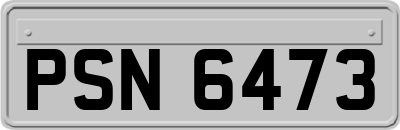 PSN6473