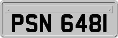 PSN6481