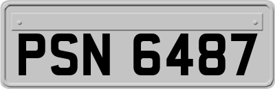 PSN6487
