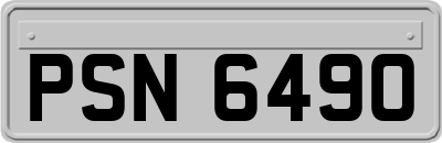 PSN6490