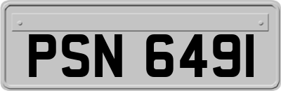 PSN6491