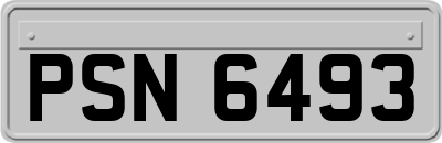 PSN6493
