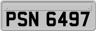 PSN6497