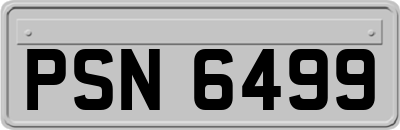 PSN6499