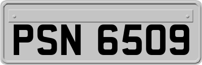 PSN6509