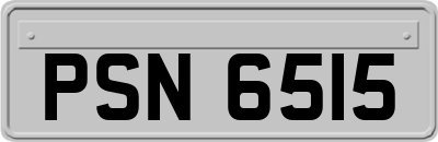 PSN6515