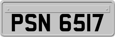 PSN6517