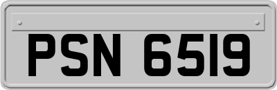 PSN6519