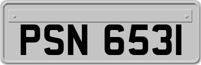 PSN6531