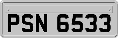 PSN6533