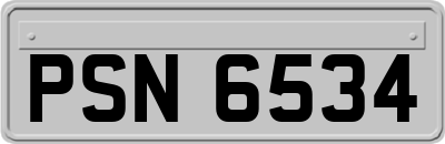 PSN6534