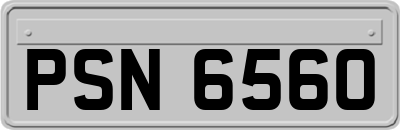 PSN6560