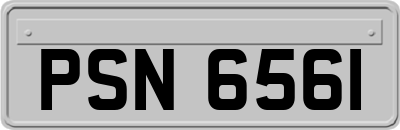 PSN6561