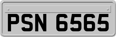 PSN6565