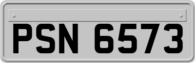 PSN6573
