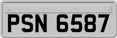 PSN6587