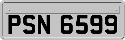PSN6599