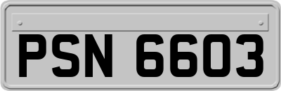 PSN6603