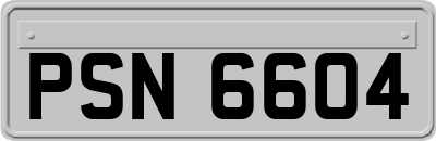 PSN6604
